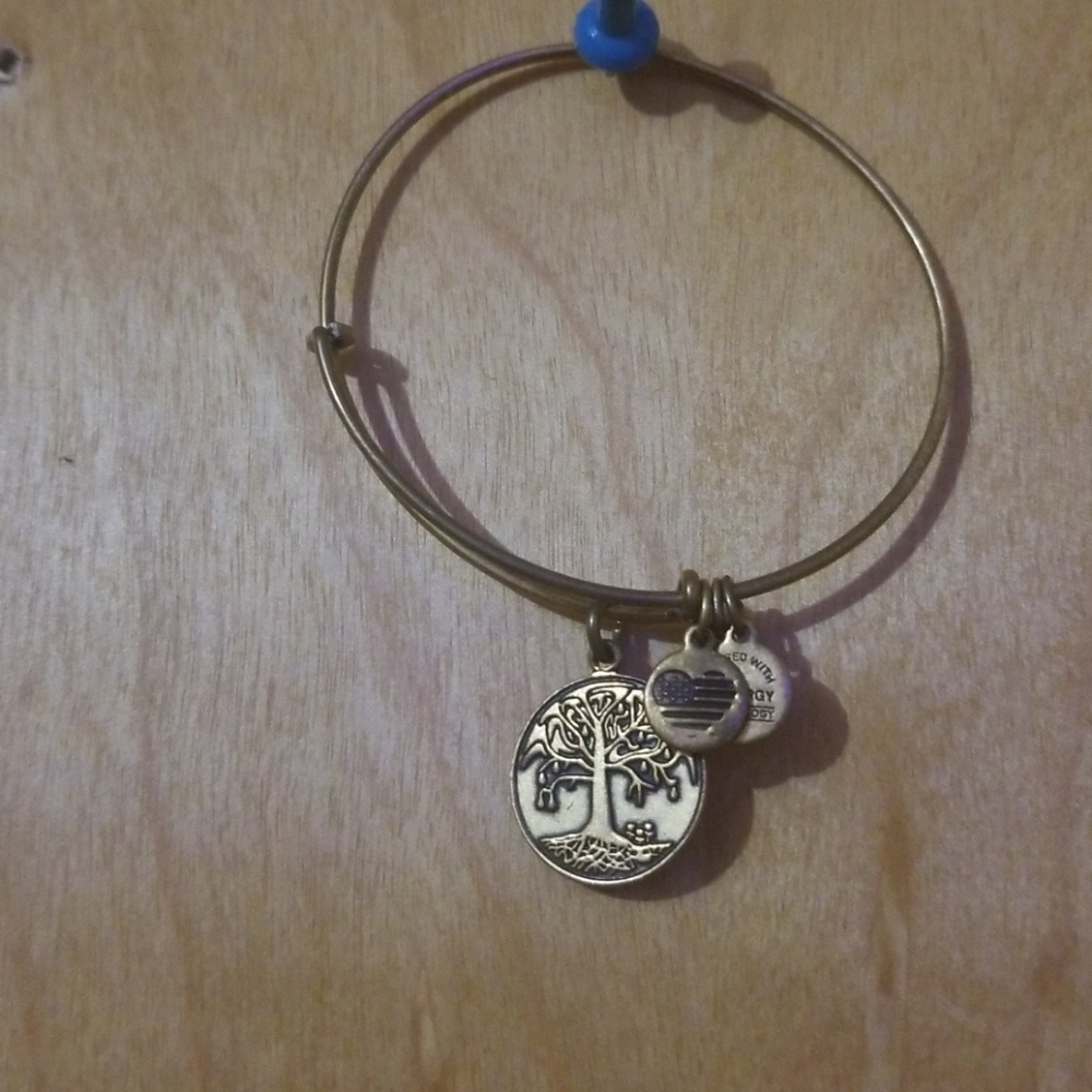 Alex and Ani Tree of Life Bracelet